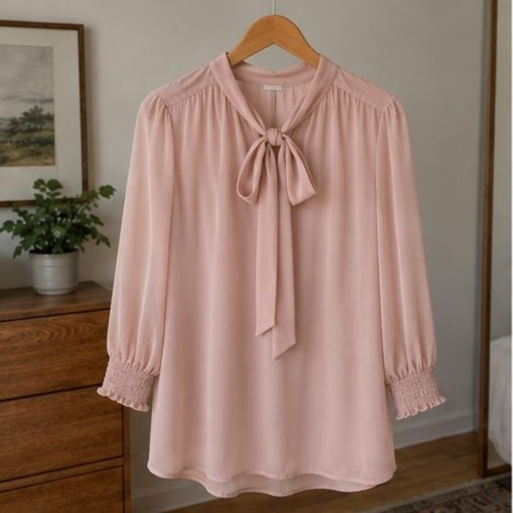 Blush Tie Neck Chiffon Blouse